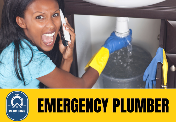 emergency plumber Hythe